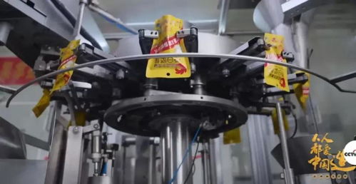 技術驅動與產業深耕 一座中國城市的堅果產業崛起之路